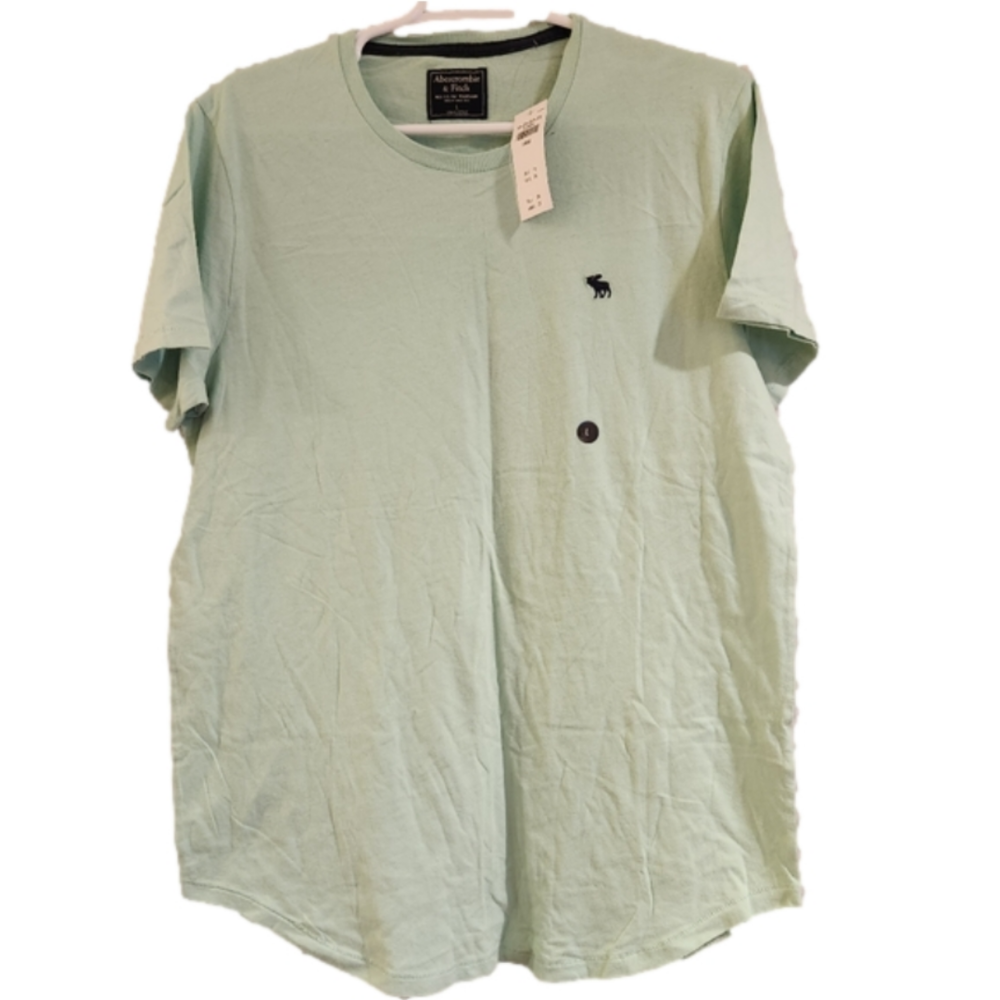 Abercrombie & Fitch NWT Mint Green Tshirt Size Large